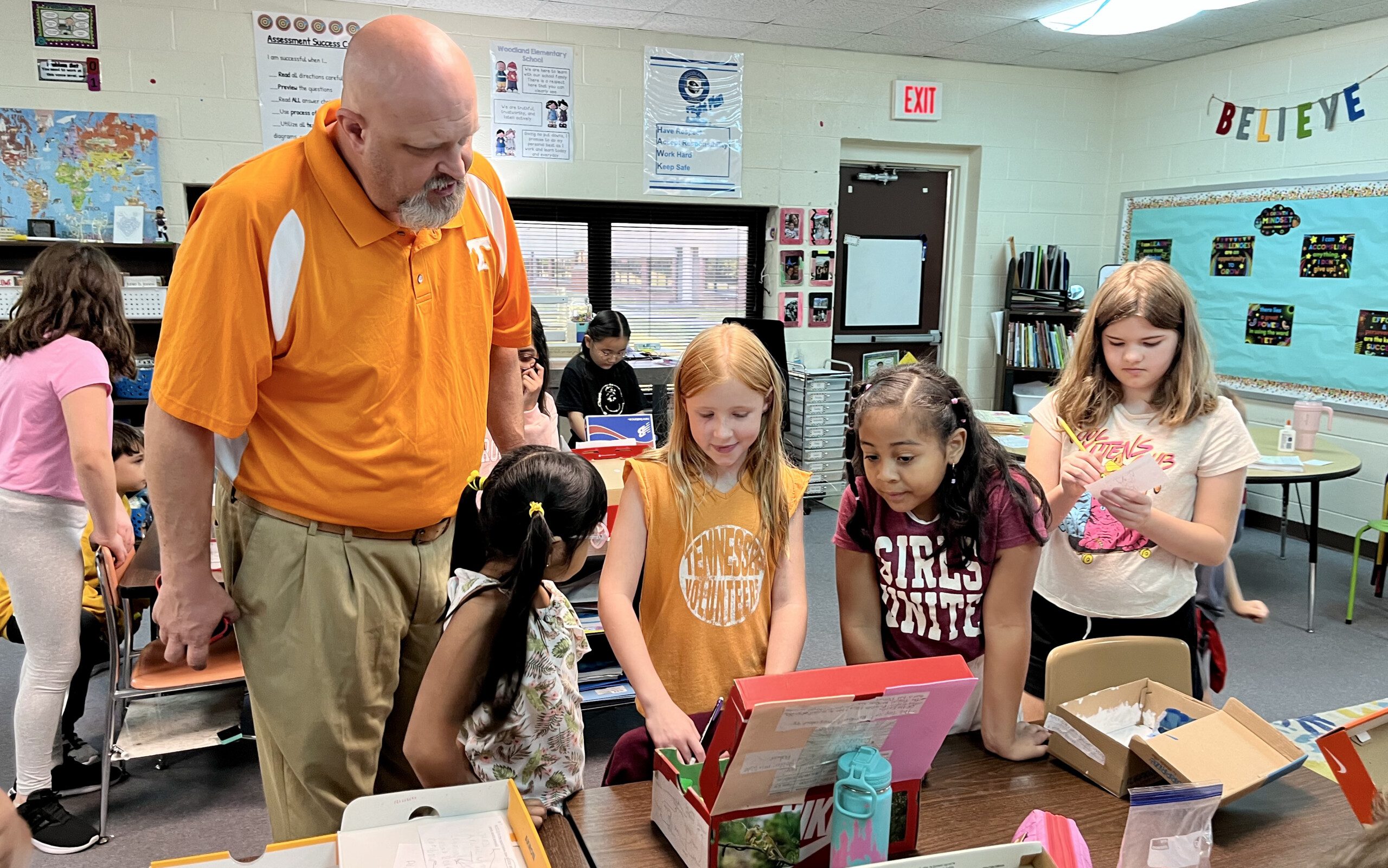 Biome Shoeboxes Woodland Elementary